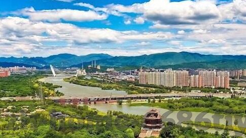 足球半場比分-足球半场比分，赛场风云的微缩画卷与战略转折点